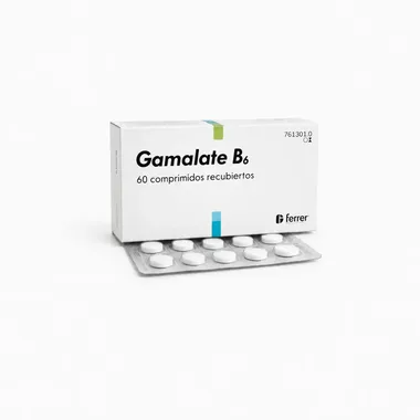 Гамалат В6 (Gamalate B6) — таблетки, покрытые оболочкой, 60 шт